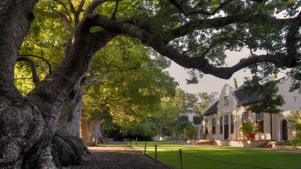 Vergelegen Estate - Image 2